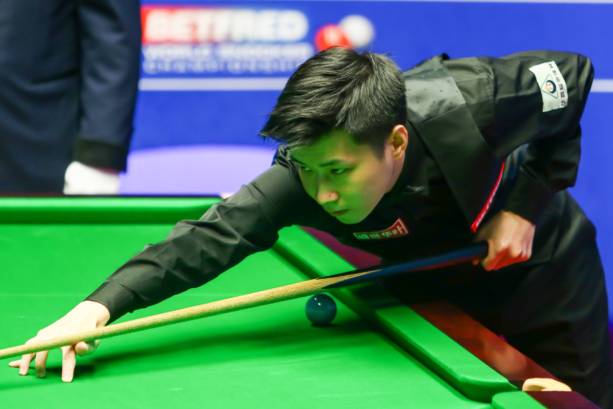 从数据来看 从数据来看