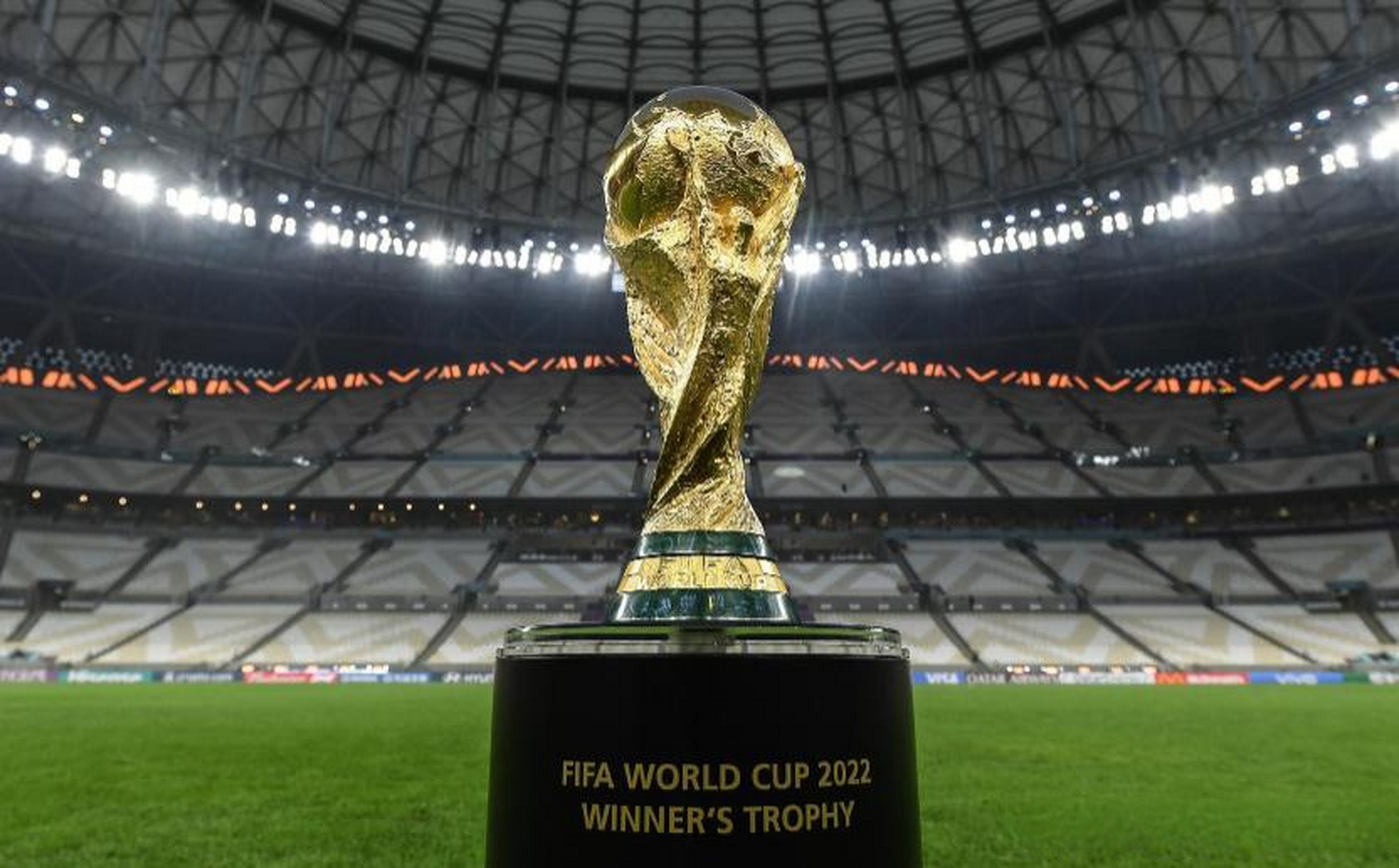 他们在某些 他们在某些