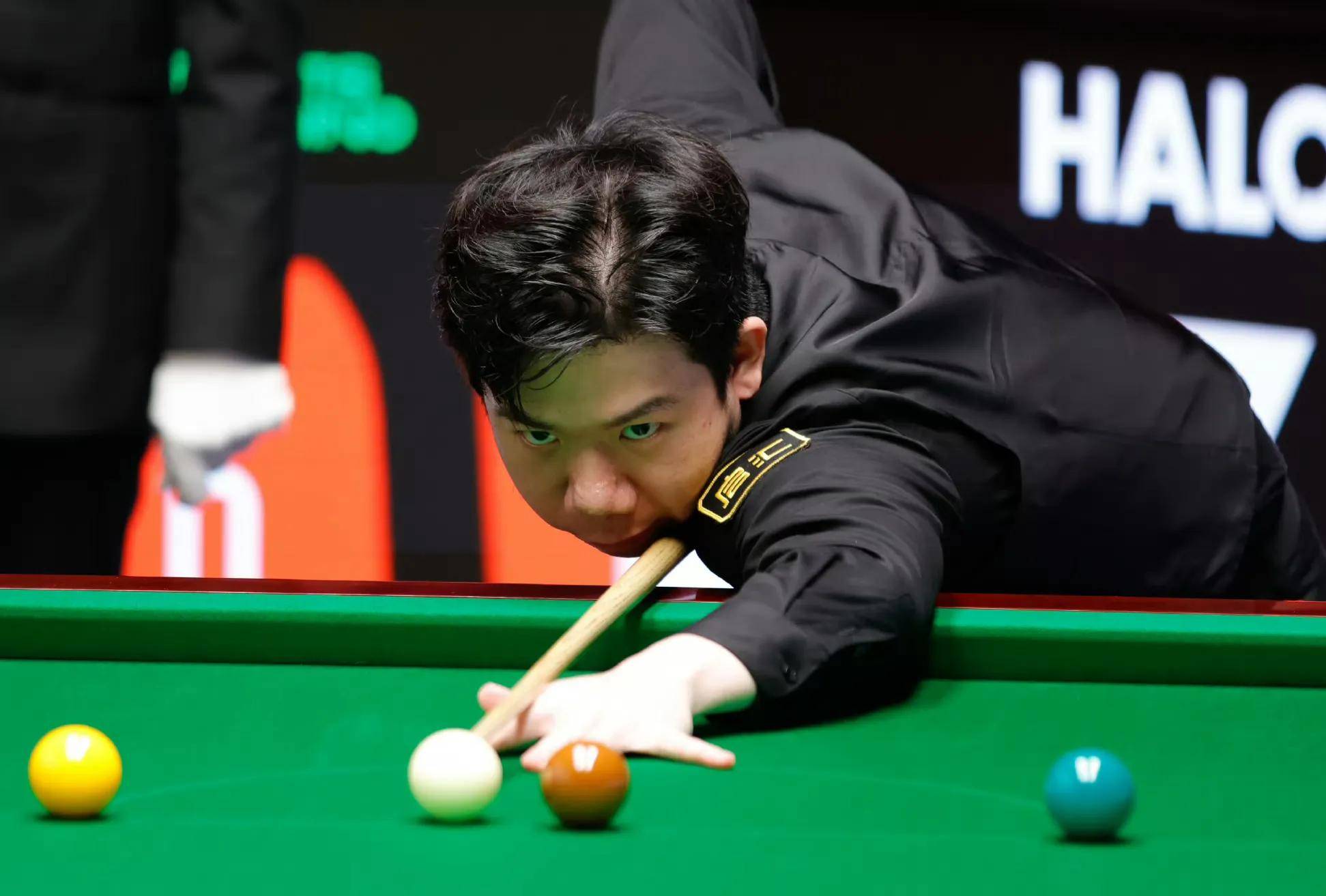 职业体育领 职业体育领