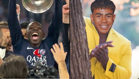 净零排放赌 净零排放赌